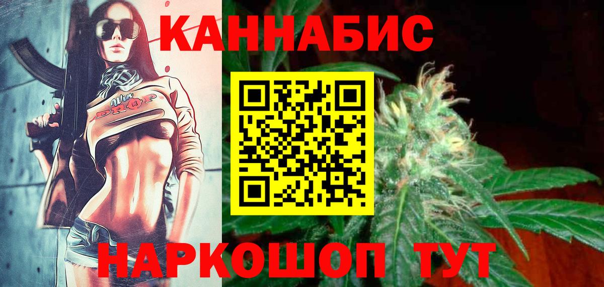 Каннабис планчик Кольчугино